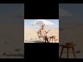 Volks-Verarschung! AFD will sich ausländerfreundlich umbenennen! #comedy #afd