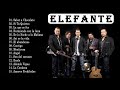 Elefante - Grandes Exitos Enganchados | Elefante Sus Mejores Éxitos | Completo 2021