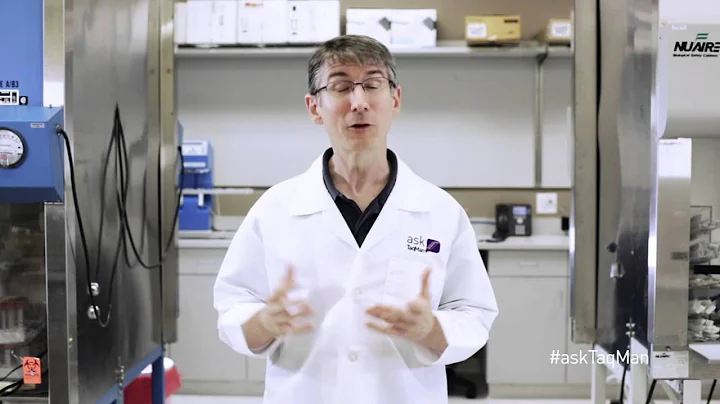How TaqMan Works -- Ask TaqMan® Ep. 13