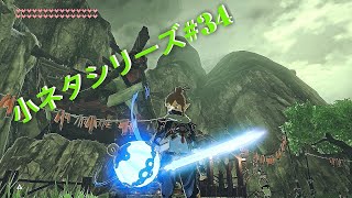 【ゼルダの伝説〜ブレスオブザワイルド〜】2020年6月から2020年7月裏技と小ネタの歴史#34【裏技】