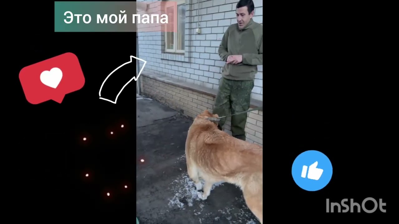 Тара уехала в семью 