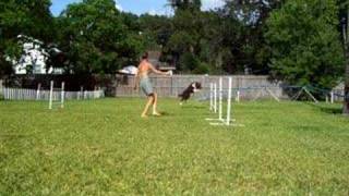 threadle exercise 1
