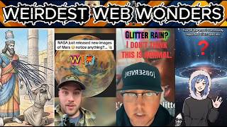 weirdest web wonders vol 450