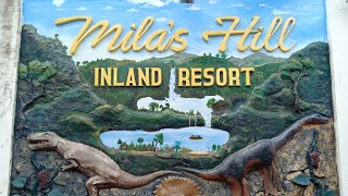 Mila's Hill