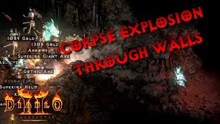 Corpse Explosion Works Through Walls?? - Diablo 2 Resurrected