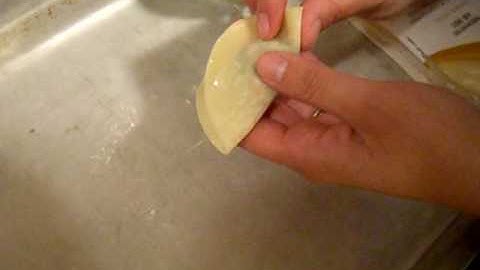 How to Fold Chinese Wontons