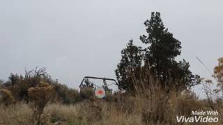 26 & 28 Nosler