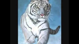 CHARLES JACKSON &  SYLVIA COX ..   I LOVE YOU ONLY   ....