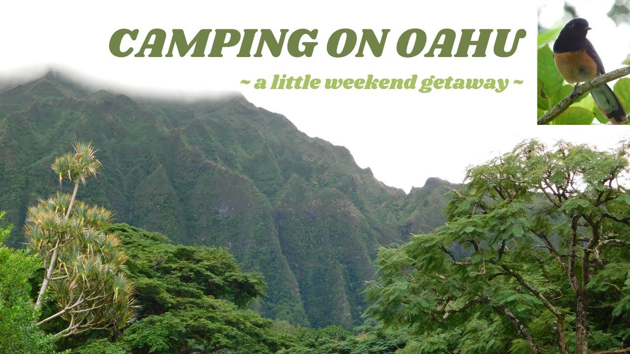Camping At Ho omaluhia Botanical Garden YouTube camping-at-ho-omaluhia-botanical-garden-youtube