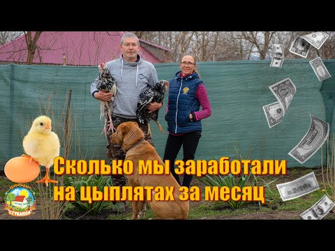 Video: Stotskaya porodila dceru