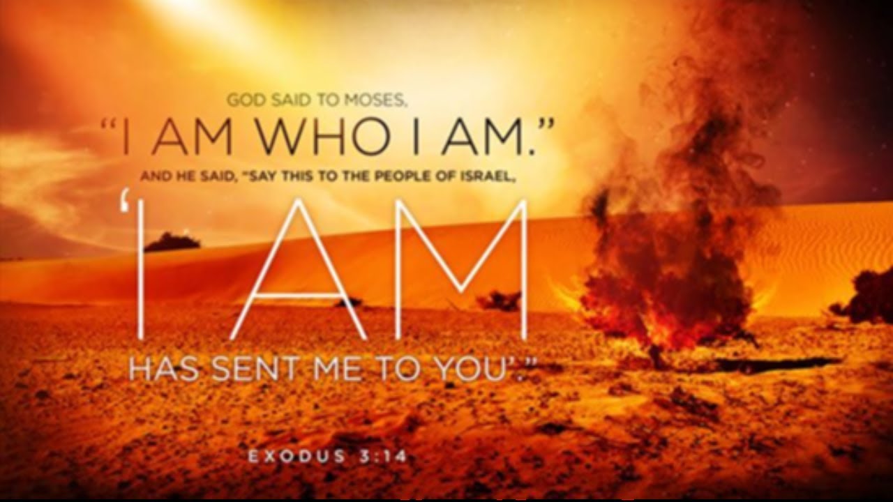 4th Sunday of Easter