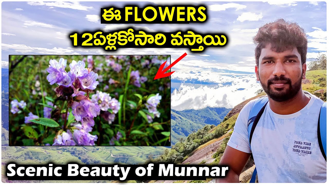 Eravikulam National Park Munnar | Kerala Trip | Raji Reddy | Telugu Traveller
