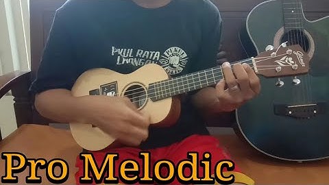 Pro melodic ukulele senar 4