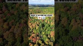 Details 🍁🍂 Best spots to see peak fall colors 😍😍 | Wisconsin 🧡❤️💛 News