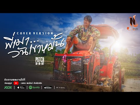 พี่เมาวันเขาหมั้น | เพชร สหรัตน์ COVER