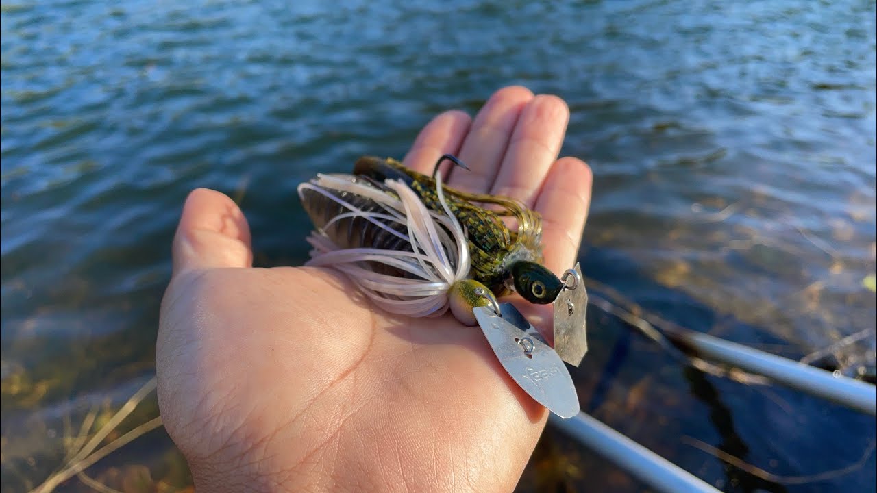 チャターベイトでバスを釣る方法、実釣しながら解説します