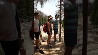 ចំការម្រេចកំពត Kampot Pepper Plantation