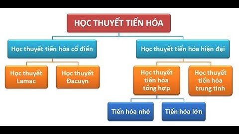 Bài 26 học thuyết tiến hóa hiện đại viẹtack năm 2024