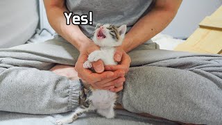 Rescued Kitten Diaries: One Month| Daily Cuteness Ep.3