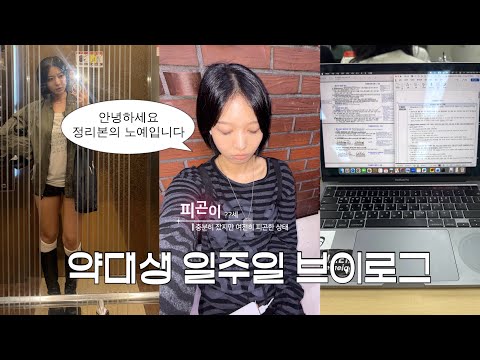 일주일 내내 정리본만 만드는 피곤이 약대생 브이로그