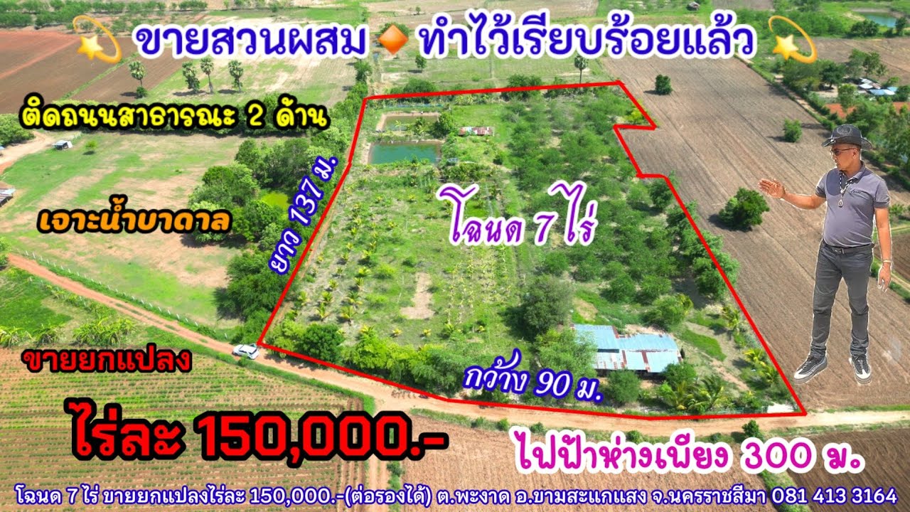 Ep.1011 ขายสวนผสม ปลูกไว้เต็มพื้นที่ โฉนด 7 ไร่ ยกแปลง 1 ล้านบาท ใกล้ตัวอำเภอขามสะแกแสง จ.นครราชสีมา