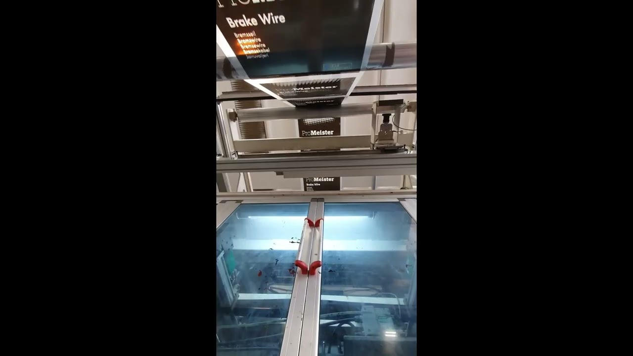 Estrusione in bolla e stampa a 3 colori in linea