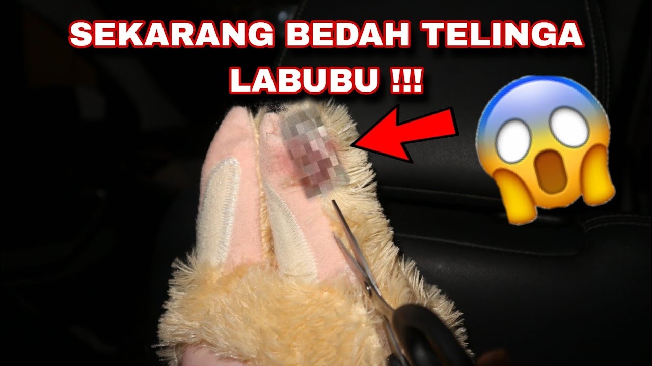 SEKARANG BEDAH TELINGA LABUBU !!! TERNYATA DALEM NYA INI ??? 😭‼️