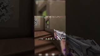 Valorant Hysteria: Uninstall Simulator