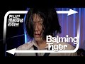 바밍타이거의 한시간반복재생라이브 Big Butt 외 15곡 바밍타이거의 한시간반복재생라이브 Big Butt 외 15곡