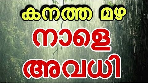 BIG NEWS - കനത്ത മഴ നാളെ അവധി പ്രഖ്യാപിച്ചു #mazhaavadhi#mazha #avadhi