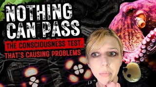 Nothing Can Pass the Consciousness Test. That’s Causing Problems.