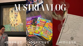 체코🇨🇿오스트리아🇦🇹 헝가리🇭🇺8박9일의 여행 VLOG📷 3편