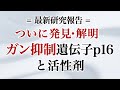 ついに発見・解明 ガン抑制遺伝子p16と活性剤