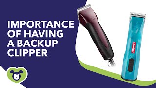 The importance of having a backup Clipper