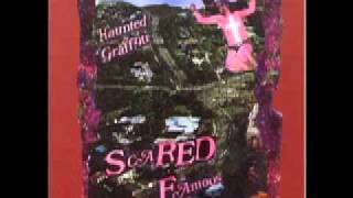 Video thumbnail of "Ariel Pink's Haunted Graffiti - Passing the Petal 2 You"