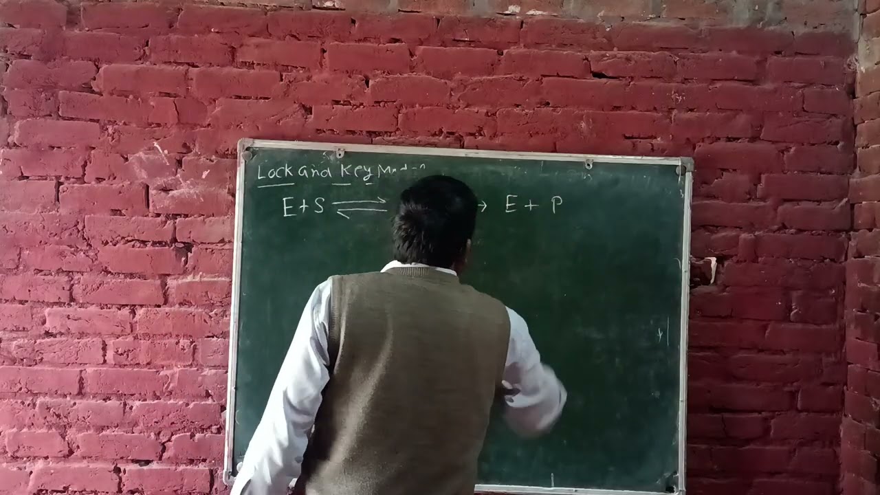 Lock and key Model and Coenzyme and Industry Catalysts 