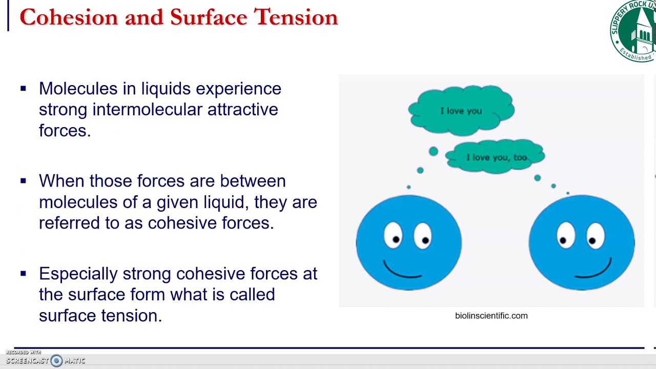 12 surface tension - YouTube
