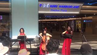 Cewek Cantik Main Biola Di Kobe, Jepang