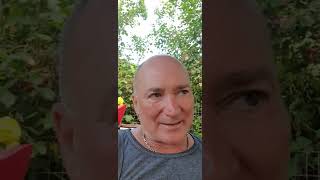 Rabye Bouden - شنبلعو بقوري في وحدة