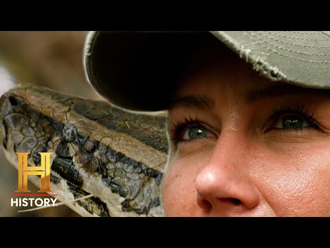 Python Hotspot Has BIZARRE History | Swamp People: Serpent Invasion (S4)