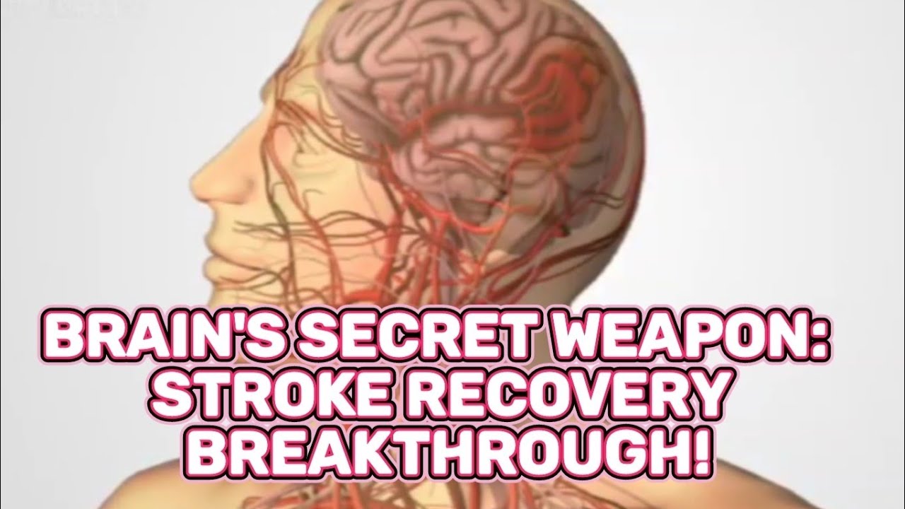 new-discovery-how-the-brain-heals-itself-after-a-stroke-youtube