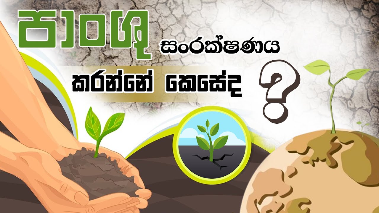 පාංශු සංරක්ෂණය කරන්නෙ කොහොමද? | How to conserve soil? | පාංශු සංරක්ෂණය | Soil conservation