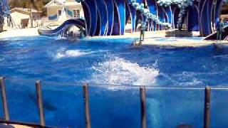 MOV01576.AVI