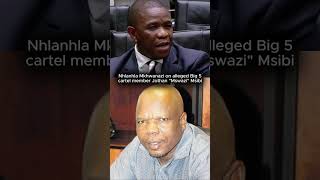 Nhlanhla Mkhwanazi On Alleged Big 5 Cartel Member Jothan Mswazi Msibi