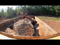 Building Fish Structure And Beds On The Big Dredging