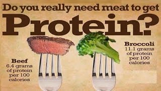 Vegan Protein | Breaking The Meat or Vegan Protein Combining Myth | Meat Protein