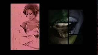 Vanessa Williams + Me'Shell NdegéOcello - Open Your Eyes, You Can Fly (Rare music video)