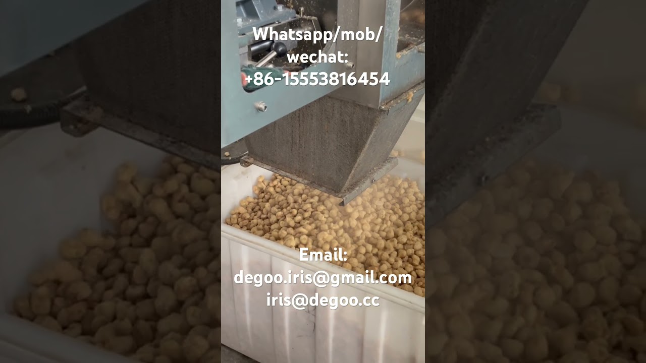 Soya chunks make extruder machinery/TVP TSP soy meat anologue HMMA plant based extrusion China dg