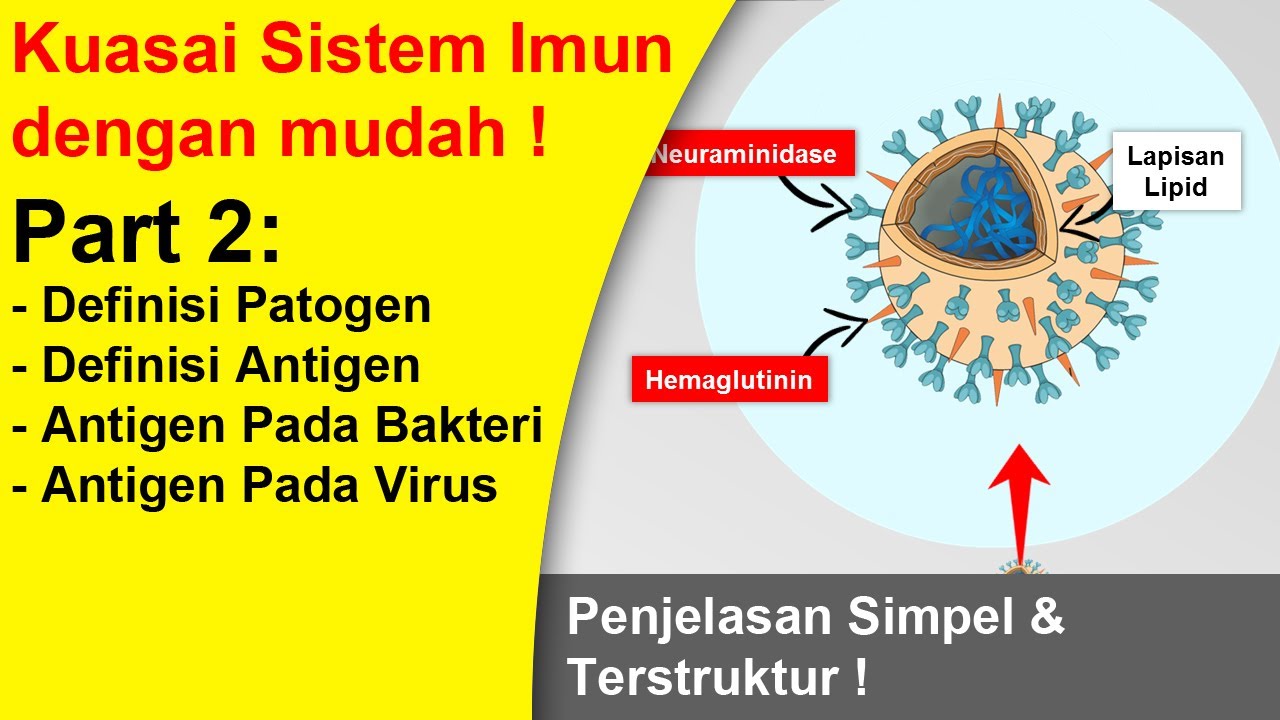 apa-itu-patogen-dan-antigen-youtube