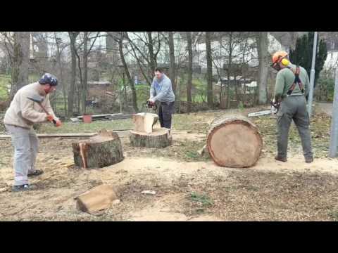 257ers Holz (Videoclip